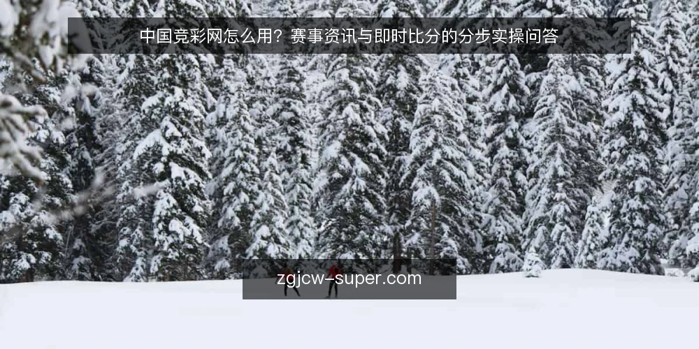 中国竞彩网怎么用?赛事资讯与即时比分的分步实操问答 — 准备阶段:明确你需要哪些赛事资讯 配图